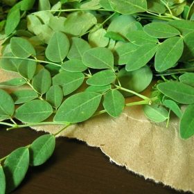 Công dụng của cây chùm ngây và cách chế biến thành món ăn ngon