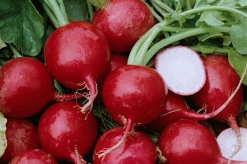 Khái niệm cơ bản về chất chống oxy hóa không phải ai cũng biết 37 Nhà hàng chay HITA Phan Xích Long Phú Nhuận