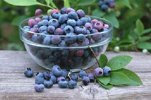 Khái niệm cơ bản về chất chống oxy hóa không phải ai cũng biết 29 chất chống oxy hóa