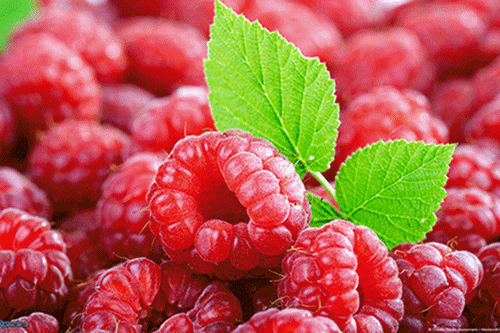 Khái niệm cơ bản về chất chống oxy hóa không phải ai cũng biết 33 chất chống oxy hóa