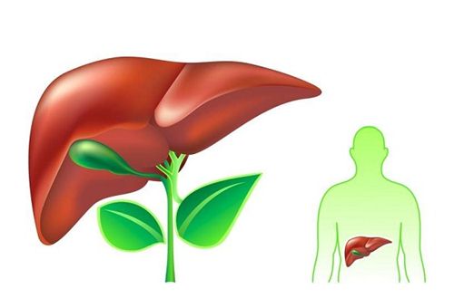 Những bí quyết nấu chè đậu đen cực thơm ngon cho gia đình 19 Nhà hàng chay HITA Phan Xích Long Phú Nhuận