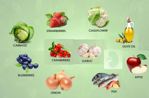 Các chức năng của thận và bảo vệ bằng phương pháp ăn chay hữu ích 11 Nhà hàng chay HITA Phan Xích Long Phú Nhuận