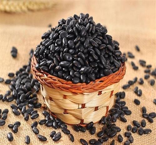 Đậu đen xanh lòng – Thực phẩm giá rẻ mang đến sức khoẻ vàng 11 đậu đen xanh lòng