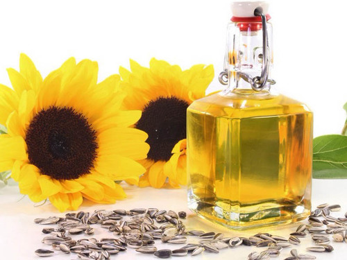 dầu hướng dương