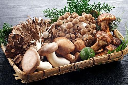 Nấm đùi gà là nguyên liệu chế biến món chay cực hữu ích cho cơ thể 9 nấm đùi gà