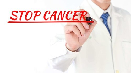 Món rong biển nấu canh với đậu phụ thanh đạm và dễ làm 10 Nhà hàng chay HITA Phan Xích Long Phú Nhuận