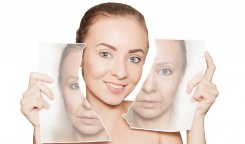 Nhà hàng chay HITA Phan Xích Long Phú Nhuận