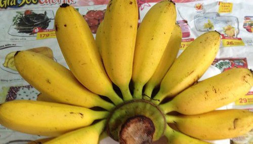 Những tác dụng của chuối chưa chắc ai cũng biết 10 tác dụng của chuối