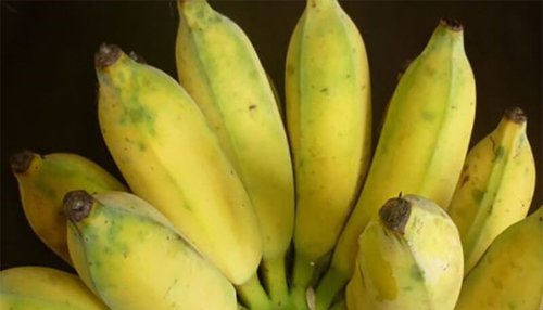 Những tác dụng của chuối chưa chắc ai cũng biết 13 tác dụng của chuối