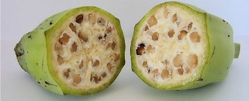 Những tác dụng của chuối chưa chắc ai cũng biết 14 Nhà hàng chay HITA Phan Xích Long Phú Nhuận