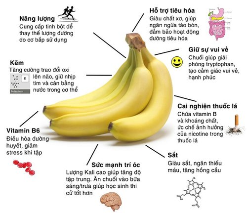 Những tác dụng của chuối chưa chắc ai cũng biết 15 Nhà hàng chay HITA Phan Xích Long Phú Nhuận