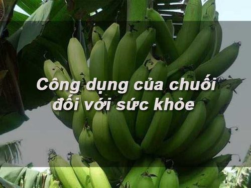 Những tác dụng của chuối chưa chắc ai cũng biết 16 Nhà hàng chay HITA Phan Xích Long Phú Nhuận