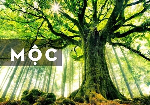 Tìm hiểu ngay ứng dụng của thuyết ngũ hành trong phong thủy và nấu ăn 11 thuyết ngũ hành