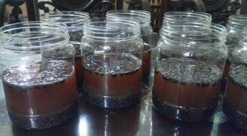 Bí kíp chế biến giúp sức khỏe cải thiện không ngờ của tỏi đen là gì 18 Nhà hàng chay HITA Phan Xích Long Phú Nhuận