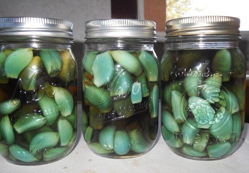 Bài thuốc từ tỏi ngâm rượu giúp cơ thể luôn khỏe mạnh 8 Nhà hàng chay HITA Phan Xích Long Phú Nhuận