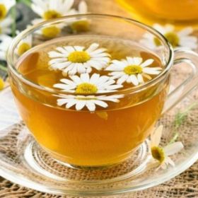 Hướng dẫn cách chế biến các món chay ngon từ tàu hủ ky 14 HITA bật mí cách pha trà trà thảo mộc giúp tăng hương vị