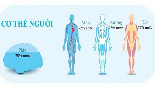 Uống nước đúng cách như thế nào để tốt cho sức khỏe? 6 Uống nước đúng cách như thế nào để tốt cho sức khỏe? 4