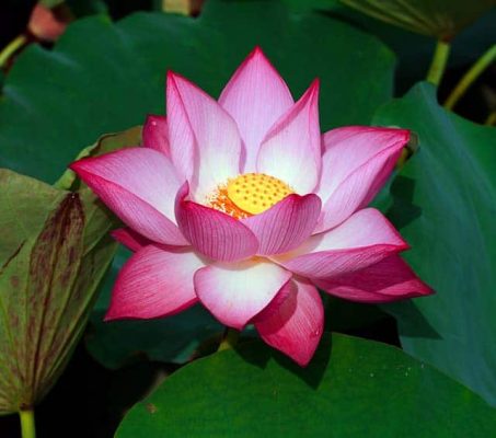 Một người không ngừng bước lên phía trước, dũng cảm thẳng tiến... 2