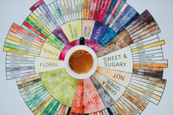 Vòng tròn hương vị cà phê - Coffee Taster's Flavor Wheel 22