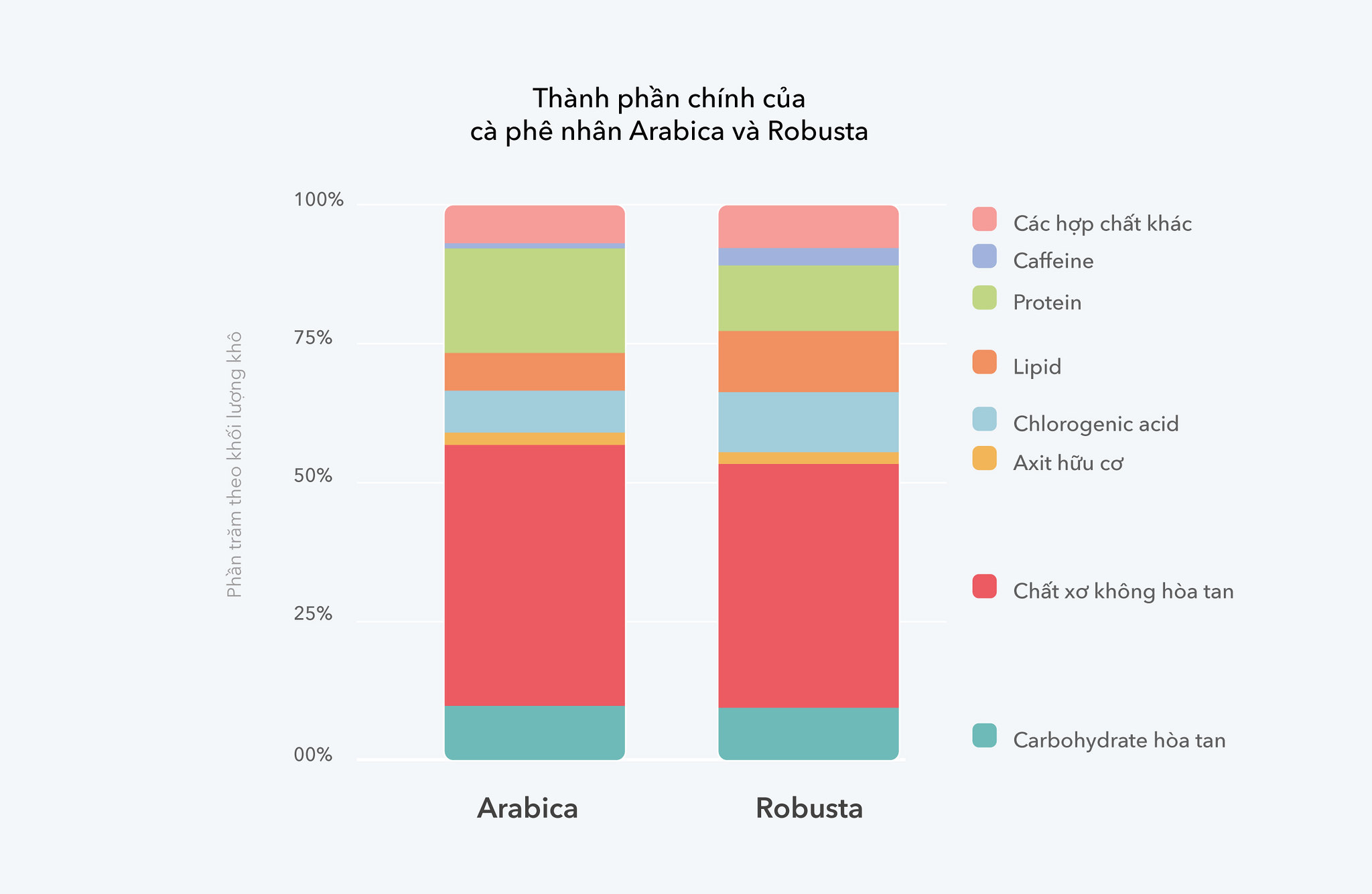 Arabica và Robusta: Sự khác biệt về hương vị 1