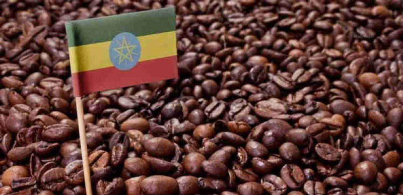 Ethiopia - quê hương cà phê Arabica