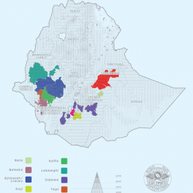 Câu Chuyện Hạt Cà Phê Ethiopia 15